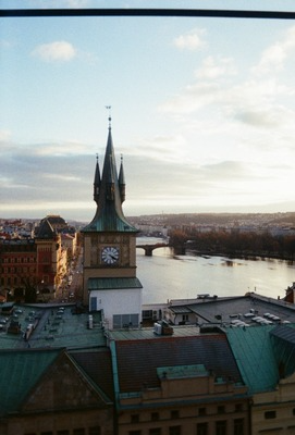 a bunch of fluffy Film