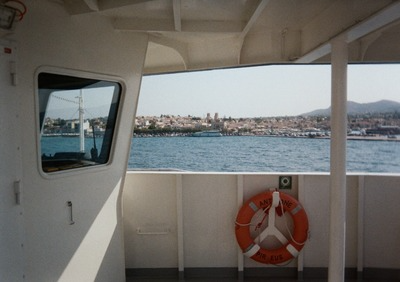 spotlight black and white photo of a daisy